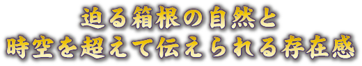 迫る箱根の自然と時空を超えて伝えられる存在感